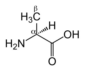 Aminosäure L-Alanin