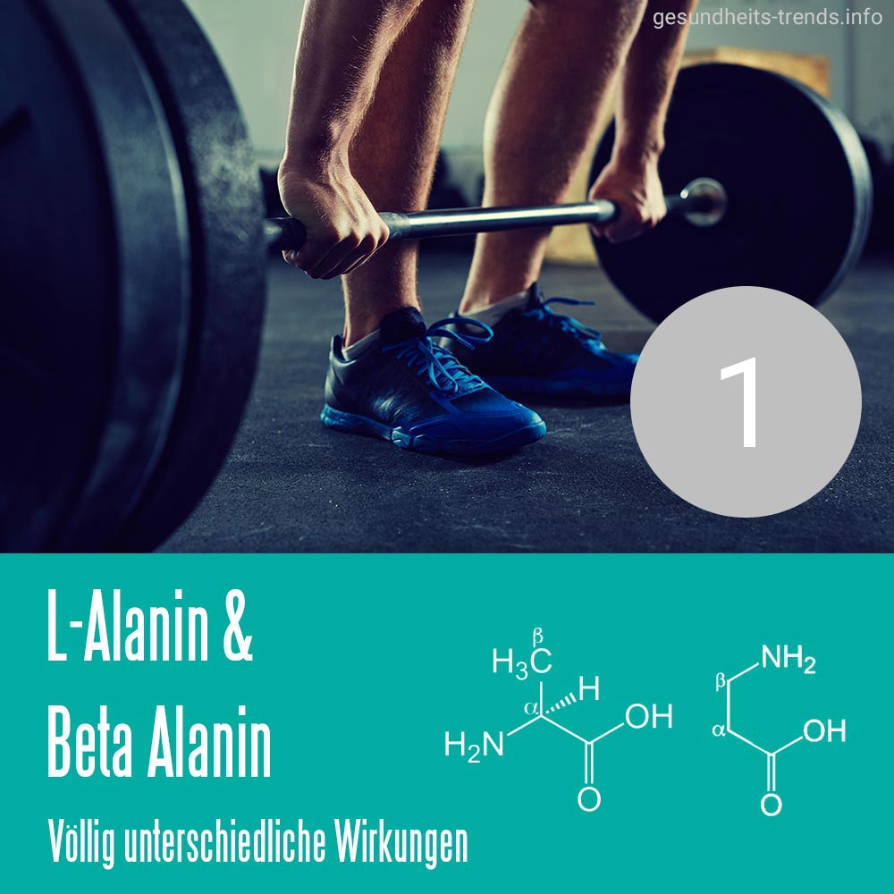 Aminosäuren L-Alanin und Beta-Alanin