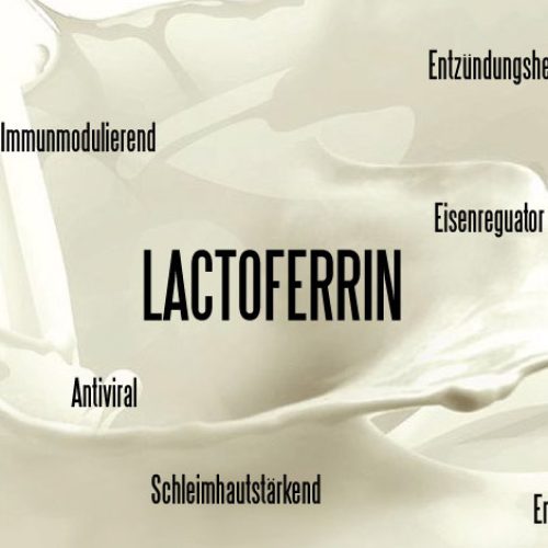 Lactoferrin – Das Multitalent für Ihre Gesundheit